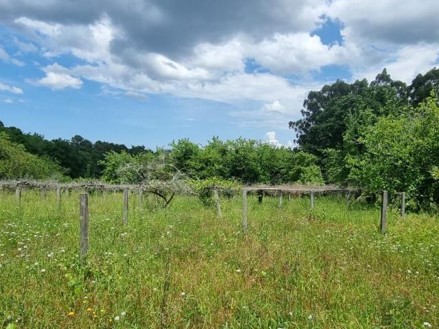 Casa Rural en venta en Tabeirós - Terra de Montes, Galicia