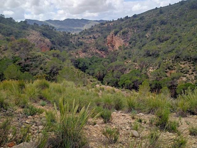 Casa Rural en venta en Abanilla, Macisvenda