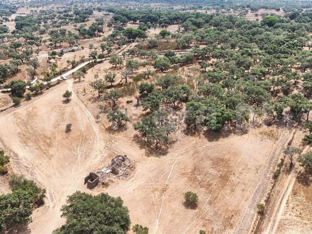 Quinta venda em Santiago Do Cacém, Setúbal