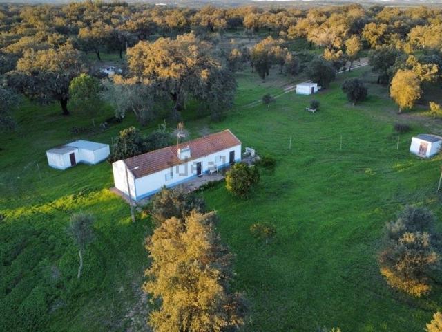 Quinta venda em Santiago Do Cacém, Setúbal