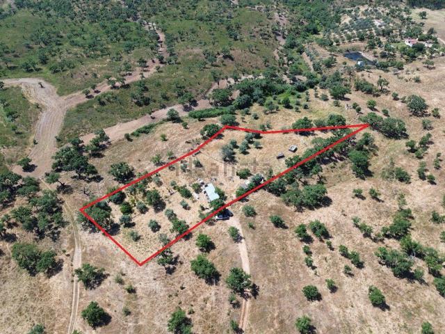 Quinta venda em Santiago Do Cacém, Setúbal