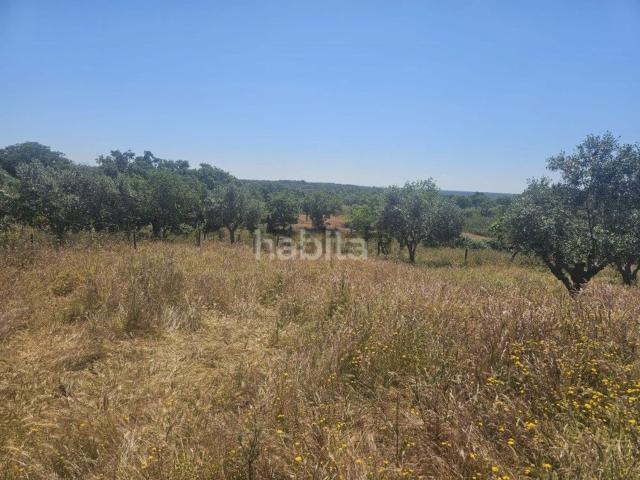 Quinta venda em Santiago Do Cacém, Setúbal