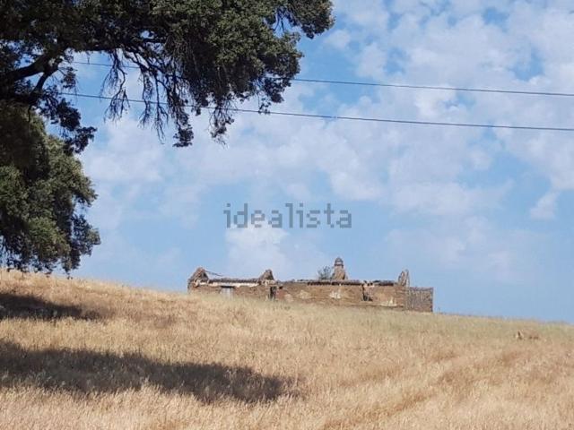 Quinta venda em Santiago Do Cacém, Setúbal