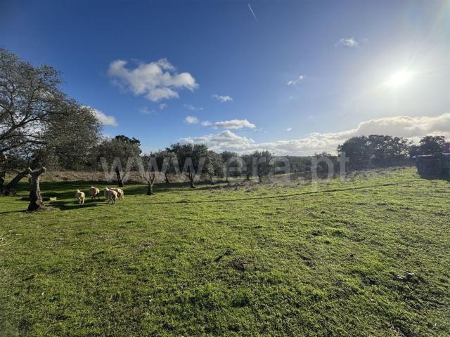 Quinta venda em Santiago Do Cacém, Setúbal