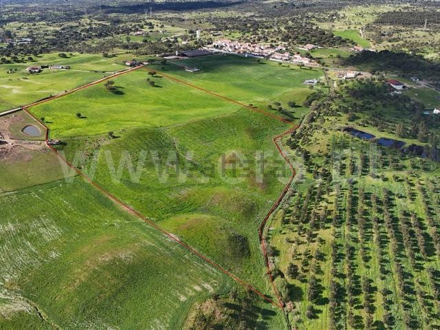 Quinta venda em Santiago Do Cacém, Setúbal