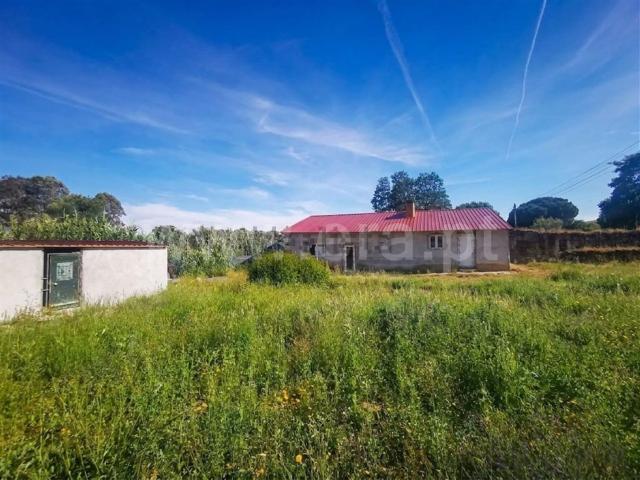 Quinta venda em Santiago Do Cacém, Setúbal