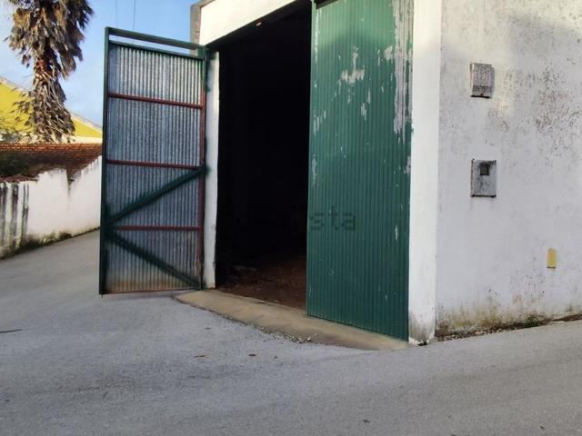 Quinta venda em Santarém