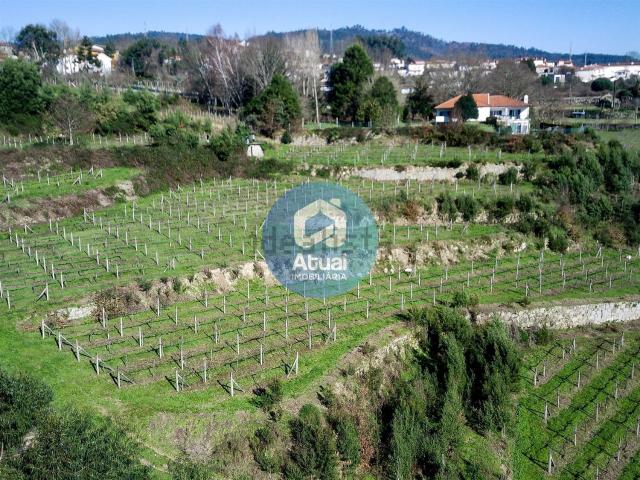 Quinta venda em Marecos, Porto