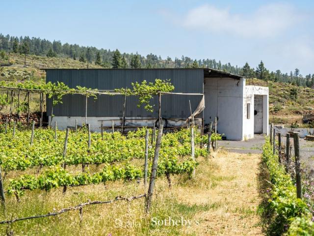 Casa Rural en venta en Taucho, Adeje