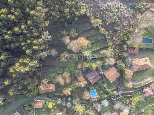 Quinta venda em Viana Do Castelo