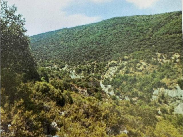 Casa Rural en venta en Noguera, Catalunya