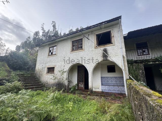 Quinta venda em Figueiró Dos Vinhos, Leiria