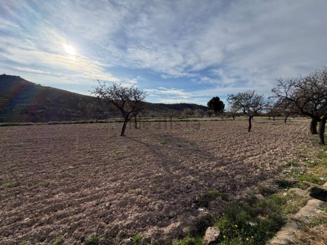 Casa Rural en venta en l'Alacantí, Valencia