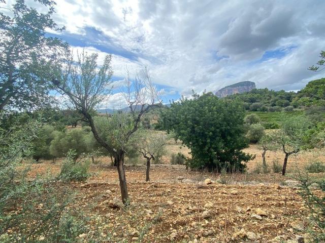 Casa Rural en venta en Raiguer, Baleares