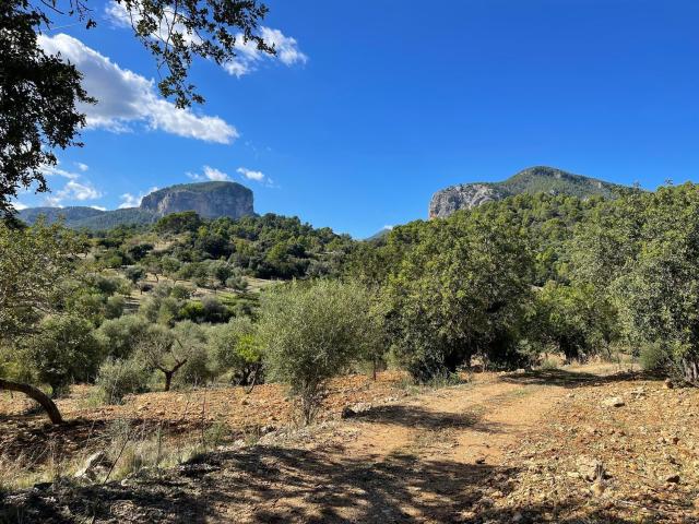Casa Rural en venta en Raiguer, Baleares