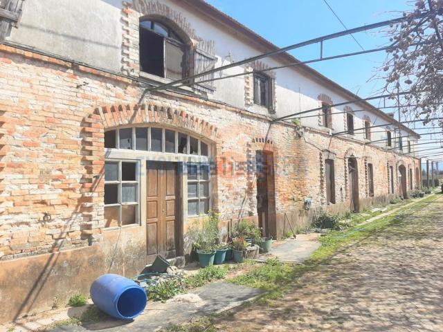 Quinta venda em Albergaria-a-velha, Aveiro