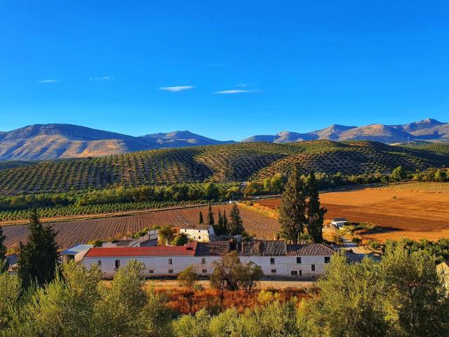 Casa Rural en venta en Pretel, Albolote