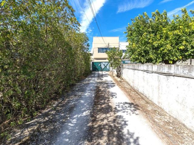 Quinta venda em Alcabideche, Douroana