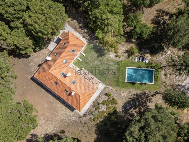Quinta venda em Montevil, Alcácer Do Sal