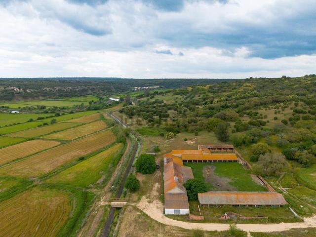 Quinta venda em Alcácer Do Sal, Setúbal
