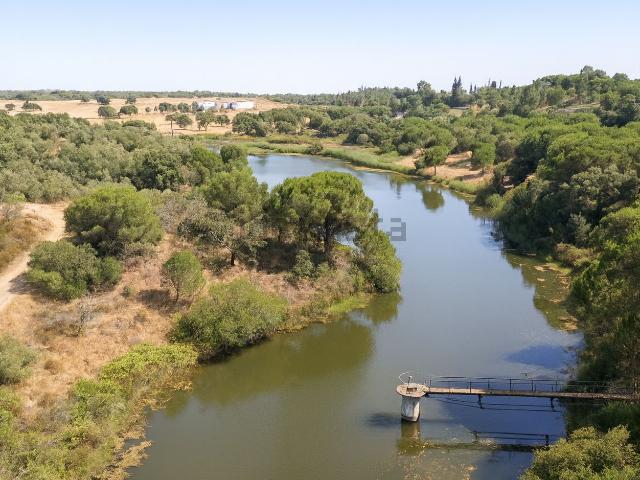 Quinta venda em Alcácer Do Sal, Setúbal