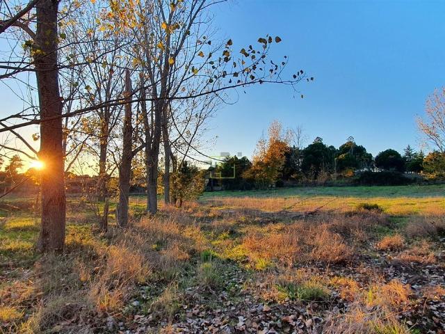 Quinta venda em Castelo Branco