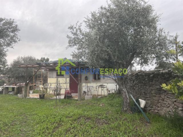 Quinta venda em Castelo Branco