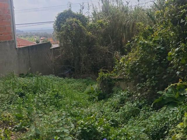 Quinta venda em Santarém
