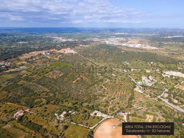 Quinta venda em Vales de Pera, Alcantarilha