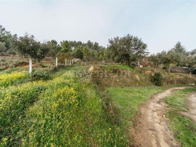 Quinta venda em Alcaria, Alcaria