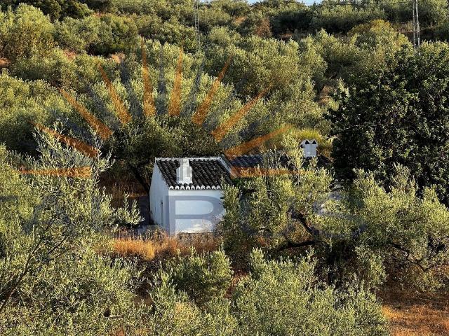 Casa Rural en venta en La Axarquía, Andalucía