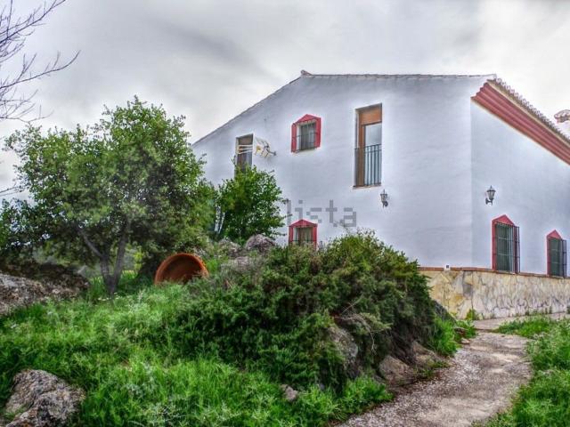 Casa Rural en venta en Alcaucín, Espino