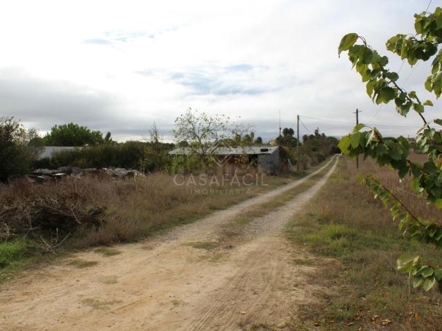 Quinta venda em Canto do Pinheiro, Alcochete