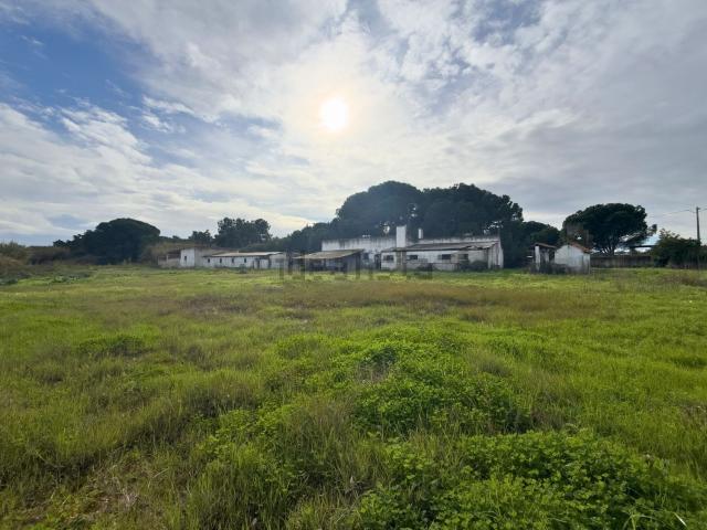 Quinta venda em Canto do Pinheiro, Alcochete