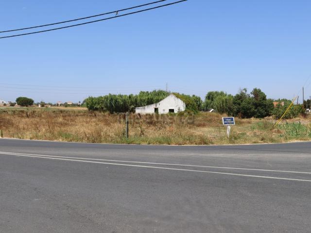 Quinta venda em Alcochete, Setúbal
