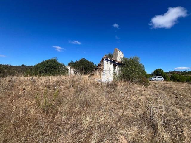 Quinta venda em Alcórrego e Maranhão, Avis