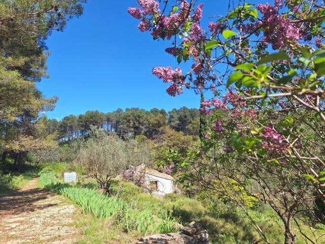 Casa Rural en venta en Santa Rosa, l'Alcoià