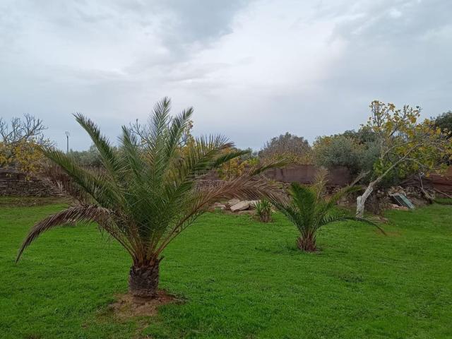 Casa Rural en venta en Alcuéscar, Extremadura