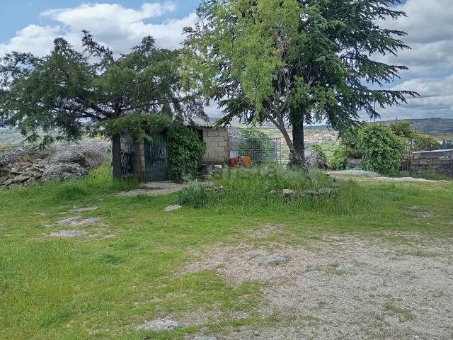 Quinta venda em Guarda