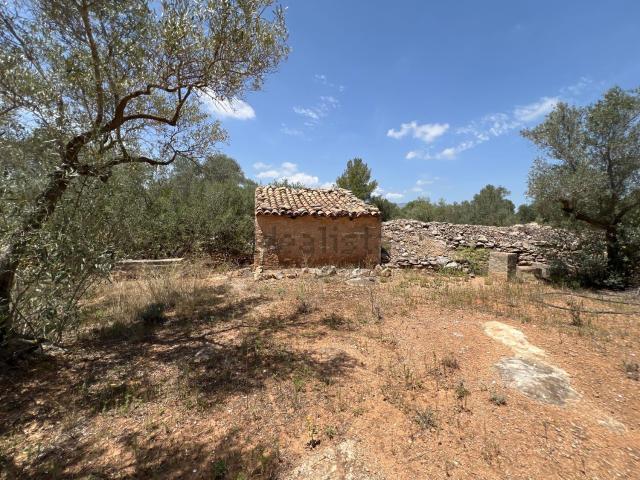 Casa Rural en venta en Baix Ebre, Catalunya