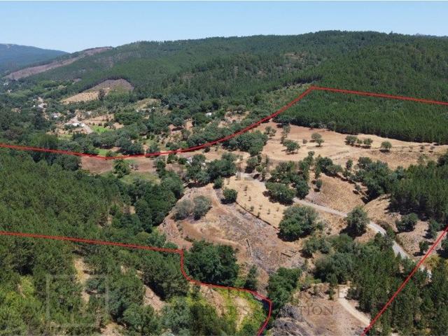 Quinta venda em Portalegre