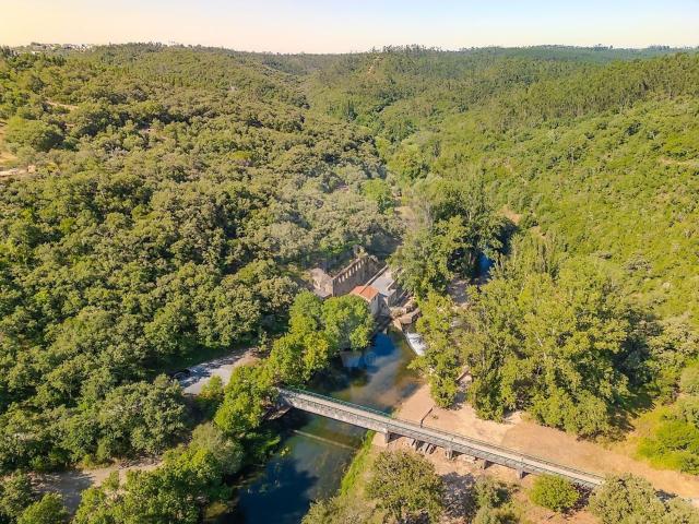 Quinta venda em Tomar, Santarém