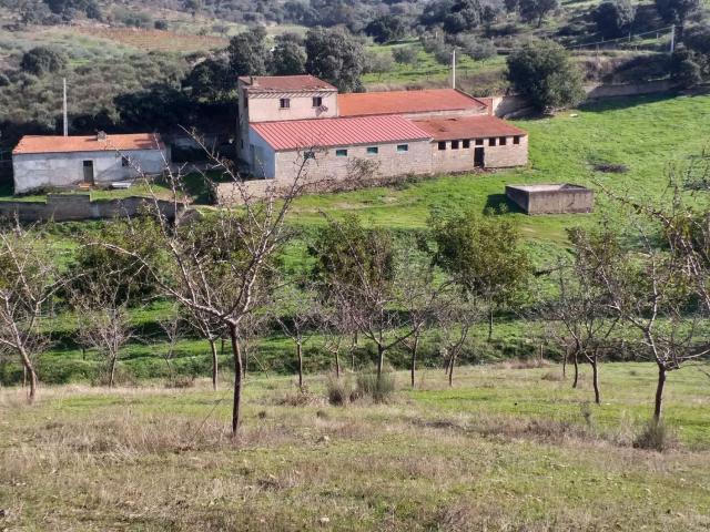 Quinta venda em Alfândega Da Fé, Bragança