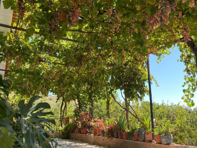 Casa Rural en venta en Alfarnatejo