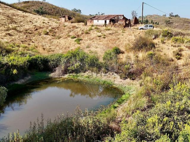 Quinta venda em Monchique, Faro