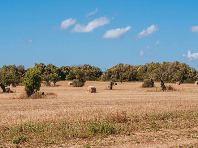 Casa Rural en venta en Pla de Mallorca, Baleares