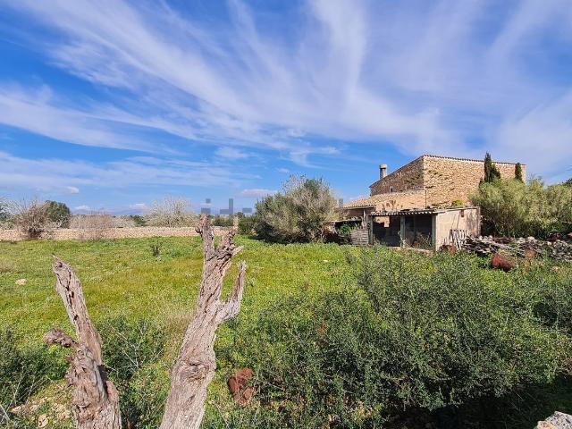 Casa Rural en venta en Pina, Pla de Mallorca