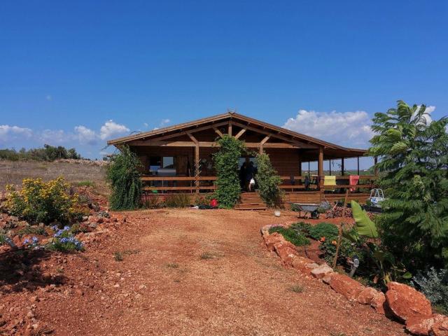 Quinta venda em Algoz, Ribeira Baixa Quinta venda em Algoz, Ribeira Baixa