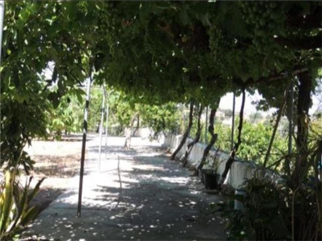 Casa Rural en venta en Alhaurín De La Torre, El Romeral