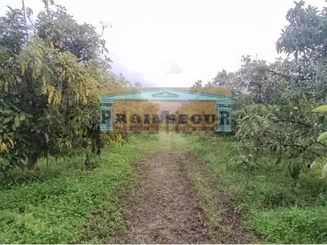 Casa Rural en venta en El Cigarral, Valle del Guadalhorce